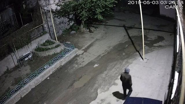 Говяжья голова Vs Starline A63