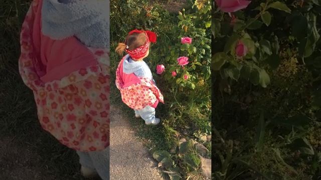 Emilia love Crimea смотреть онлайн