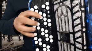 НА БЕЛОМ ПОКРЫВАЛЕ ЯНВАРЯ - Разбор на Баяне (Васюта, Летний сон)