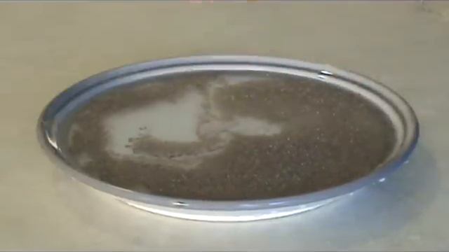 Pepper and Water Science Magic Trick смотреть онлайн