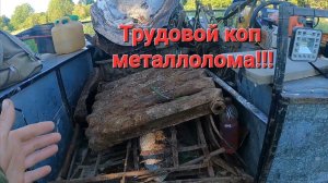 Трудовой металлокоп. Делянки, деревня копаем везде где только можно.