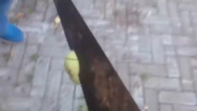 Наши одноклассники"такие умные" смотреть онлайн