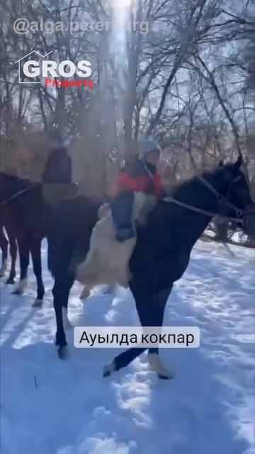 Второклассник из Аула выиграл 4 автомобиля и 30 миллионов на скачках смотреть онлайн