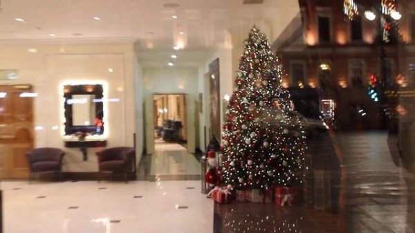 Вход Cosmos Selection Nevsky Royal