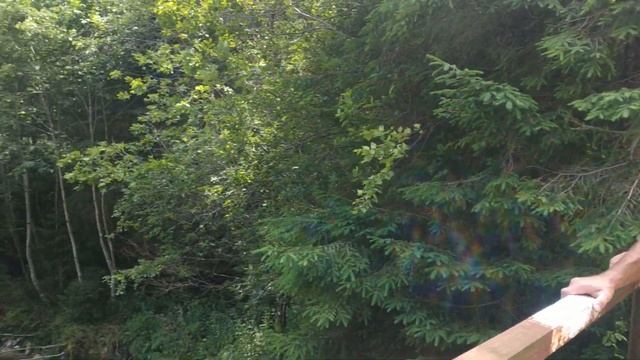 Грофецько-Попадійське кільце. День Третій 26.07.2021 р. смотреть онлайн