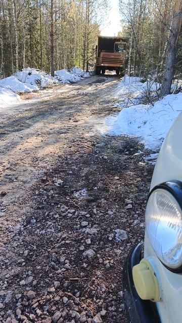 БелАЗ посреди леса