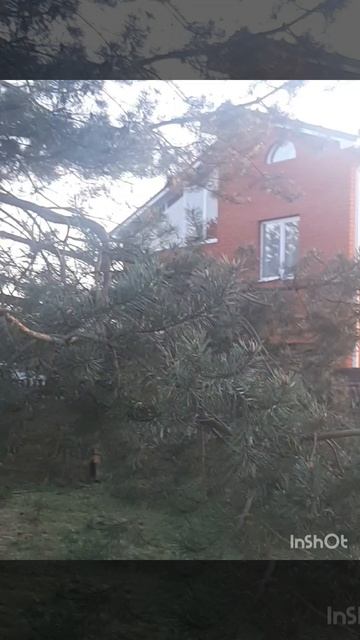 Очень люблю природу.mp4 смотреть онлайн