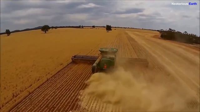 Самая длинная в мире жатка смотреть онлайн