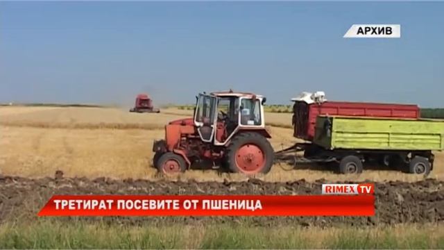 RimexTV: Третират посевите от пшеница смотреть онлайн