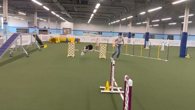 Vander Agility 2 Week 110