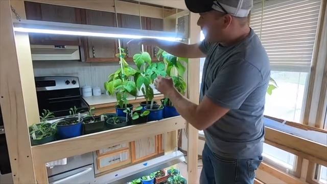 Lighting for growing indoor vegetables смотреть онлайн