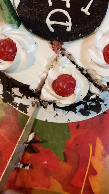 Black Forest Cake From Mio Amore #shorts #viral #shortsvideo