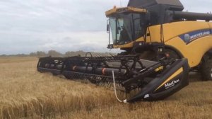 15 Жатка MACDON на комбайне New Holland CX6090