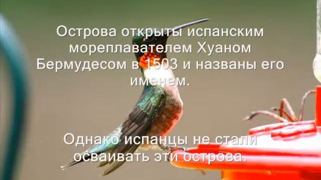 VP9G7VJR VP9M0VFC VP9M0BLF VP9G3ZAY Бермудские острова