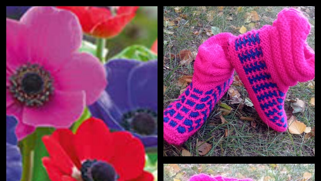 18. МК# "АНЕМОНЫ"Вяжем красивые и яркие домашние носочки- башмачки с веерами на двух спицах смотреть онлайн