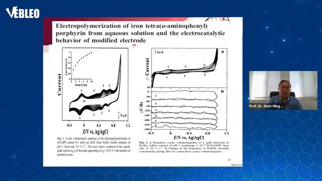 National Taipei University of Technology | Taiwan | Prof. Dr. Shen-Ming Chen | Lecture | #Vebleo смотреть онлайн