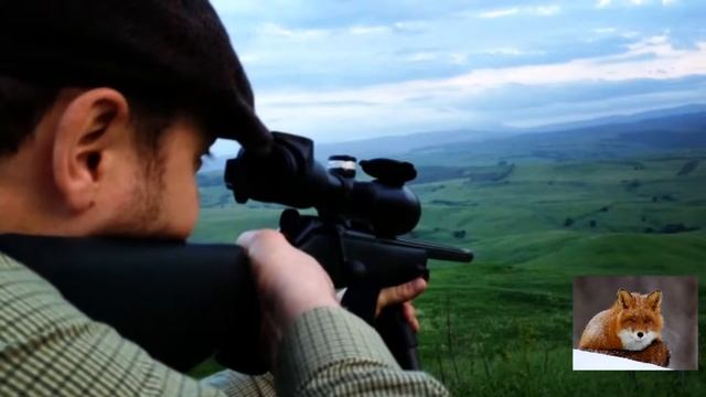 Трофейная охота на косулю смотреть онлайн