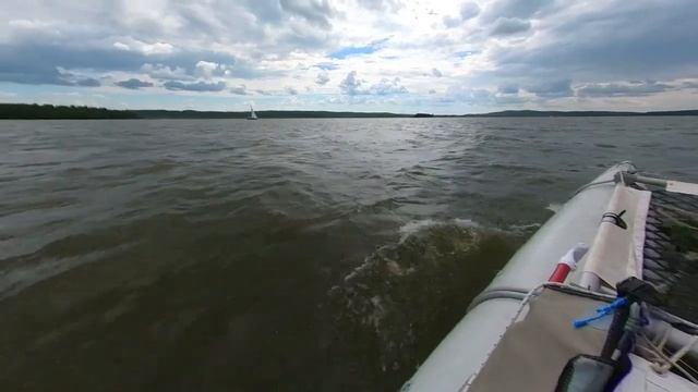 Фурибунда представляет. Человек тюлень.