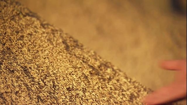 Движущая сила CLAAS смотреть онлайн