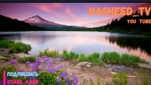 Нашид: #22 Про Багдад L Nashееd Baghdad L  نشيد بغداد