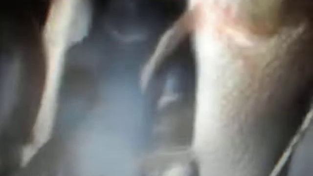 Река Сыня... Ямал 2014 ГОД