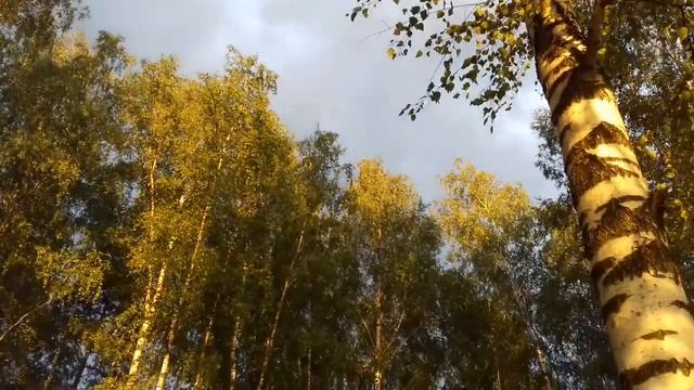 Ветер в подмосковье смотреть онлайн