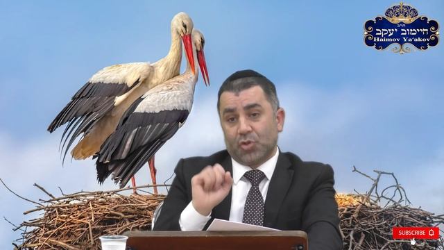 Я НЕ ИМЕЮ И МАЛЕЙШЕГО ПРЕДСТАВЛЕНИЯ О ЭТОМ МИРЕ - רוסית - Раввин Яков Хаимов