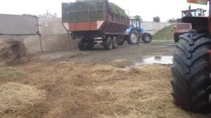 К 701,Т-150К  на трамбовке силоса