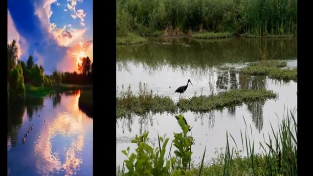 Мой фильм Ностальгия по реке