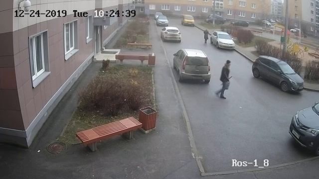 Вот такие твари живут среди нас, а д мусорного бака 30 метров! смотреть онлайн