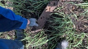 КОП МЕТАЛЛА 16 04 2025