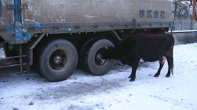 автомойка по осетински смотреть онлайн