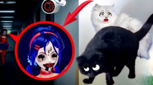 Злая Мита из MISide вернулась и преследует нас!!! Она страшнее СИРЕНОГОЛОВОГО???!