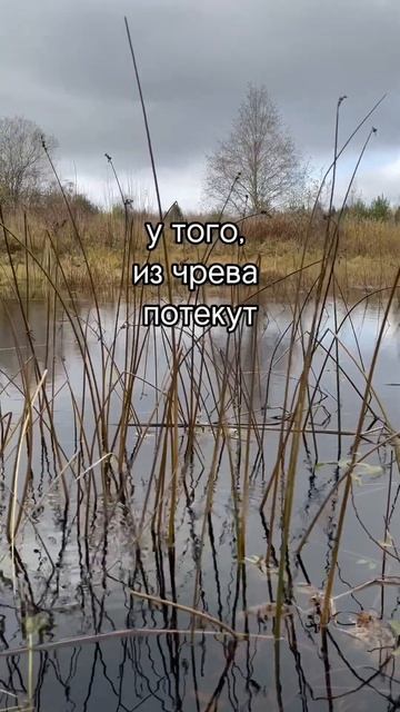 Реки воды живой смотреть онлайн