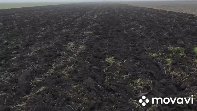 Январская пахота 2021 смотреть онлайн