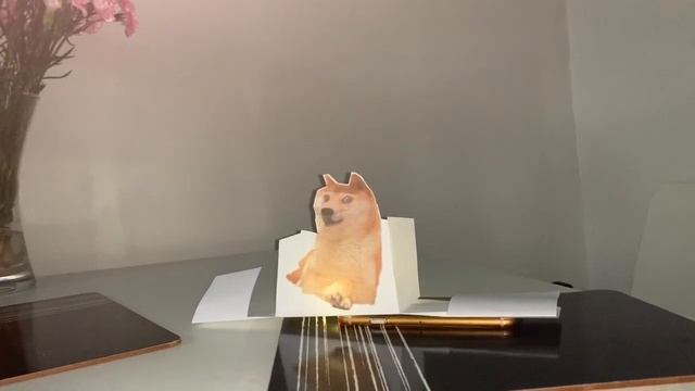 Doge Illusion смотреть онлайн