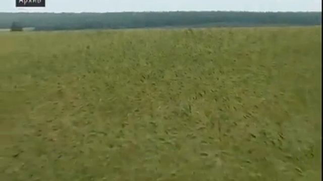 Михаил Игнатьев подвёл итоги работы правительства за 16-й год и наметил перспективы смотреть онлайн