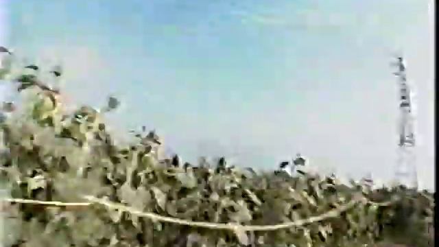JVT - Labyrinth of Sunflowers смотреть онлайн