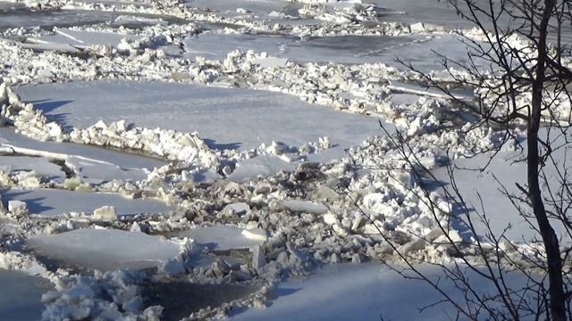 Ледоход в Тарусе