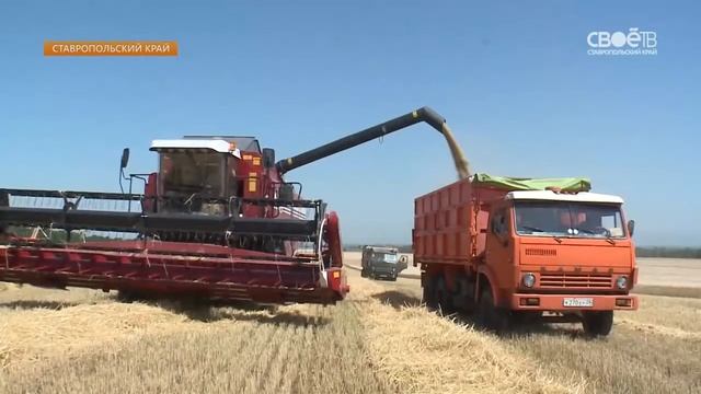 Аграрии Ставрополья вышли на финишную прямую смотреть онлайн
