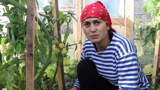 Деревенский день без стройки смотреть онлайн