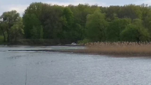 Рыбалка на Сейму🎣