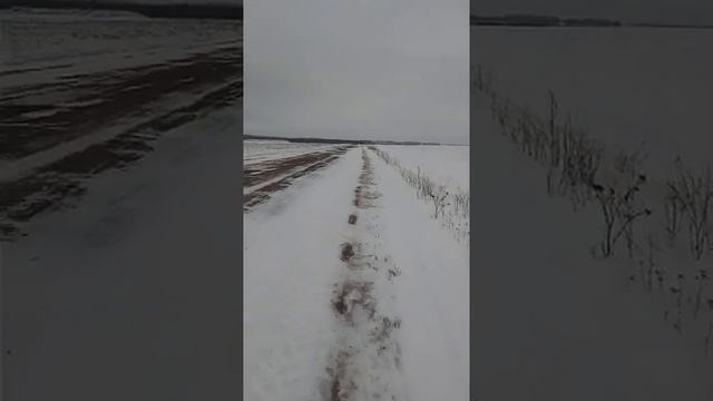 Т 40 АМ Папа прокатился перед тем как загнать на ТО смотреть онлайн