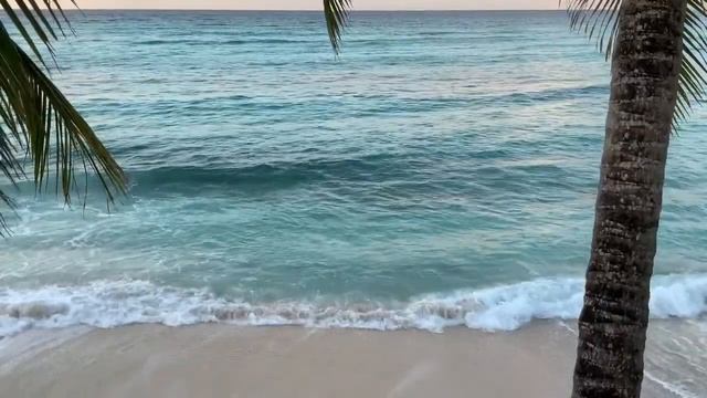 The Endless Sea
