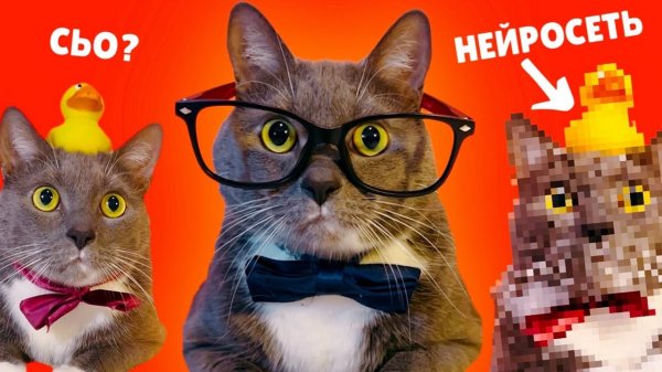 КОТИКИ В ШКОЛЕ ЗВОНЯТ СВОИМ НЕЙРО-КОПИЯМ!