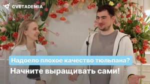 Когда надоело плохое качество тюльпана: 50.000 луковиц с нуля во Владивостоке