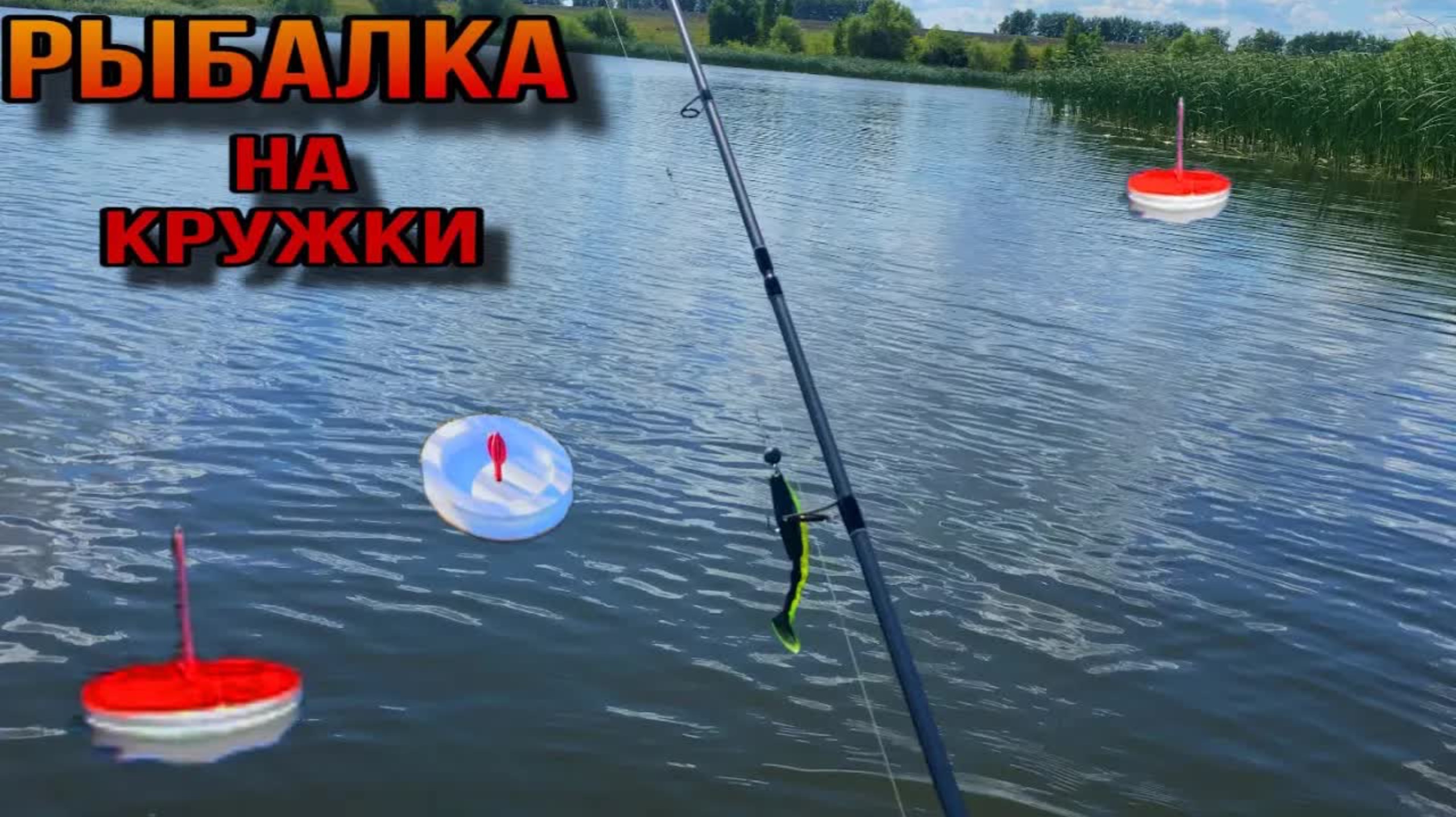 Наловили живца и поставили КРУЖКИ!НАКОНЕЦ-то полноценный выезд на щуку!Рыбалка на спиннинг и жерлицы смотреть онлайн