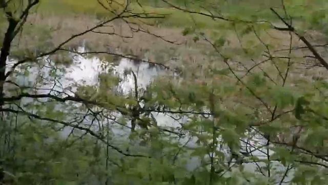 Усадьба Парк Кинематографа Ляхово.Озера Ляховского края. Река Востец.Эпизод 4.