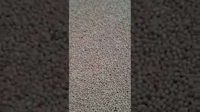 Chickpea / Нут смотреть онлайн