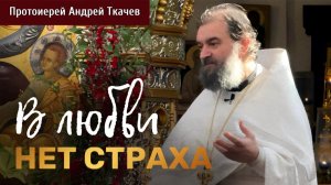 В этом весь смысл жизни. Протоиерей Андрей Ткачёв